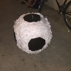 Meet your Posher, Mayra